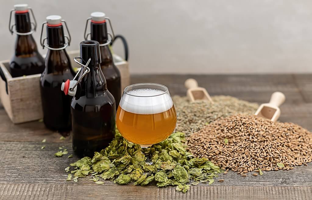 IPA pivo u čaši pored hmelja, ječma i boca